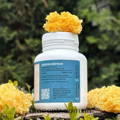 Mushroom extract tremella Lisovyk 10: 1 120 capsules