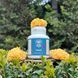 Mushroom extract tremella Lisovyk 10: 1 120 capsules