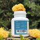 Mushroom extract tremella Lisovyk 10: 1 120 capsules