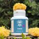Mushroom extract tremella Lisovyk 10: 1 120 capsules
