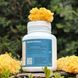 Mushroom extract tremella Lisovyk 10: 1 120 capsules