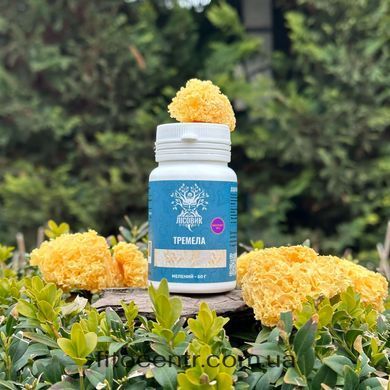 Mushroom extract tremella Lisovyk 10: 1 ground 50 g