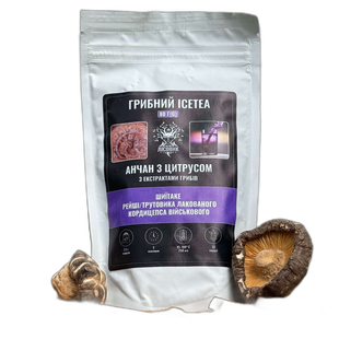 Грибной Ice Tea анчан Лесовик с цитрусом 80 г