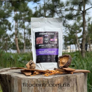 Грибной Ice Tea анчан Лесовик с цитрусом 80 г