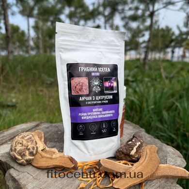 Грибной Ice Tea анчан Лесовик с цитрусом 80 г